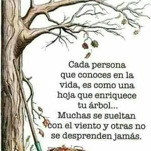 Meet your Posher, Miriam